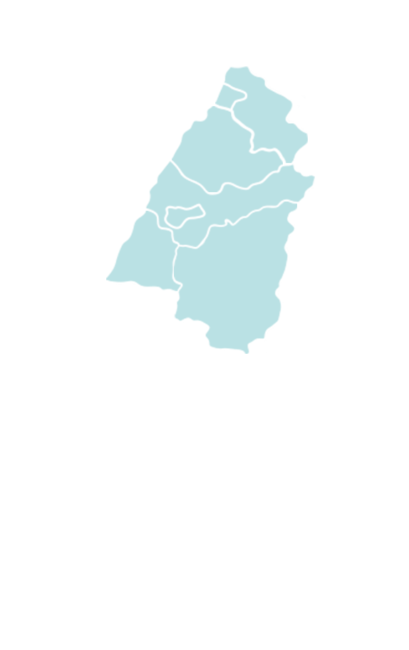 中部